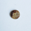 Shell button
